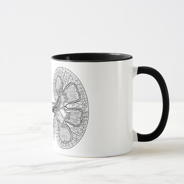 KIDNEY 2 DRAWING MUG (Right)