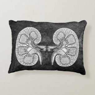 KIDNEY 2 DRAWING PILLOW