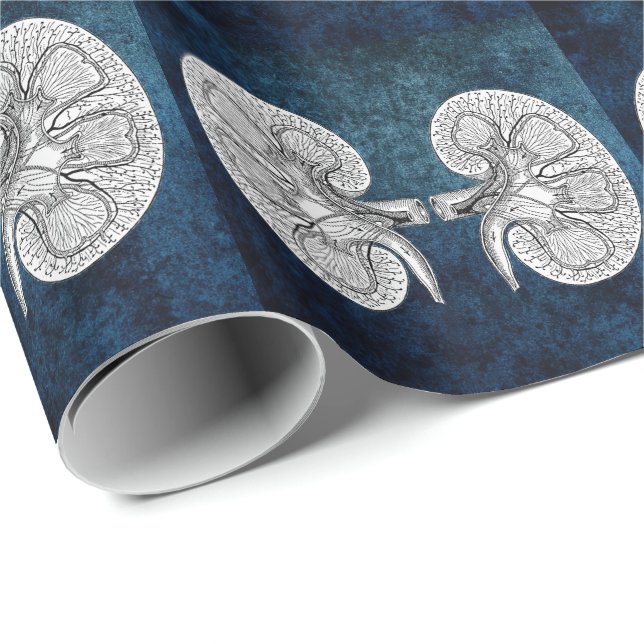 KIDNEY 2 DRAWING WRAPPING PAPER (Roll Corner)