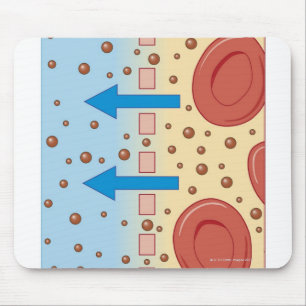 Kidney Dialysis Mouse Mat
