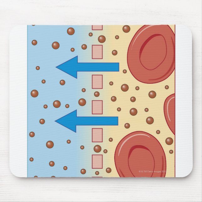 Kidney Dialysis Mouse Mat (Front)
