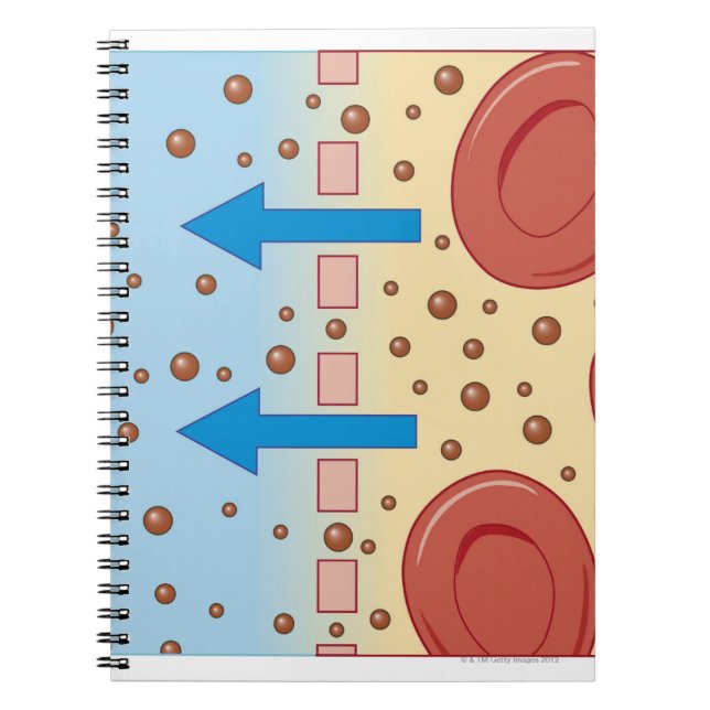 Kidney Dialysis Notebook (Front)