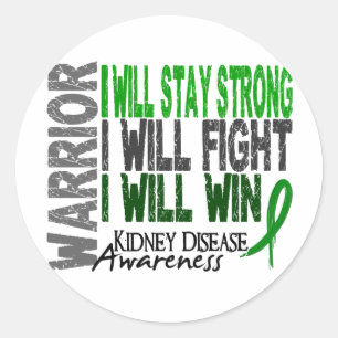 Kidney Disease Warrior Classic Round Sticker