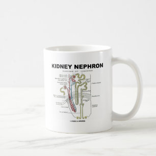 Kidney Nephron Coffee Mug