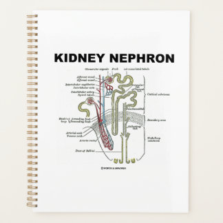Kidney Nephron Gray's Anatomy Textbook  Planner