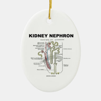 Kidney Nephron (Grey's Anatomy Textbook) Ceramic Tree Decoration