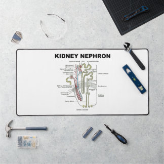 Kidney Nephron Grey's Anatomy Textbook Desk Mat