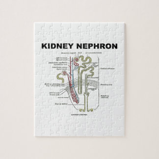 Kidney Nephron (Grey's Anatomy Textbook) Jigsaw Puzzle
