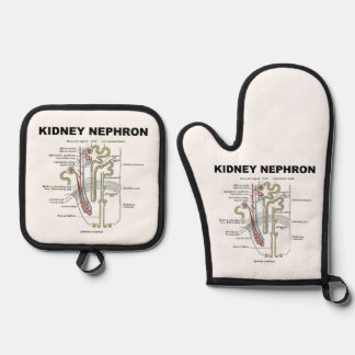 Kidney Nephron Grey's Anatomy Textbook  Oven Mitt & Pot Holder Set