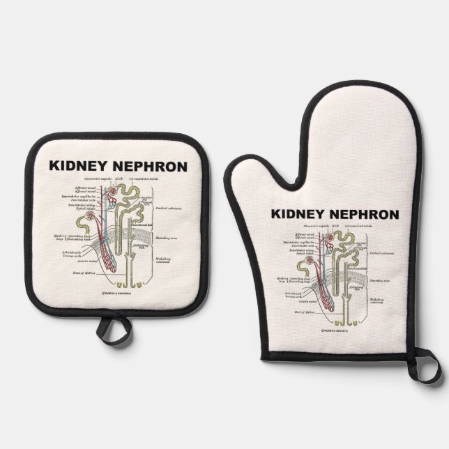 Kidney Nephron Grey's Anatomy Textbook  Oven Mitt & Pot Holder Set (Front)