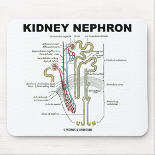 Kidney Nephron Mouse Mat