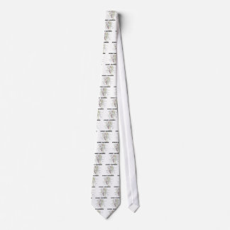 Kidney Nephron Tie