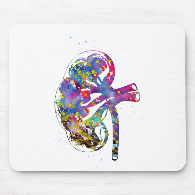 Kidney section mouse mat (Front)