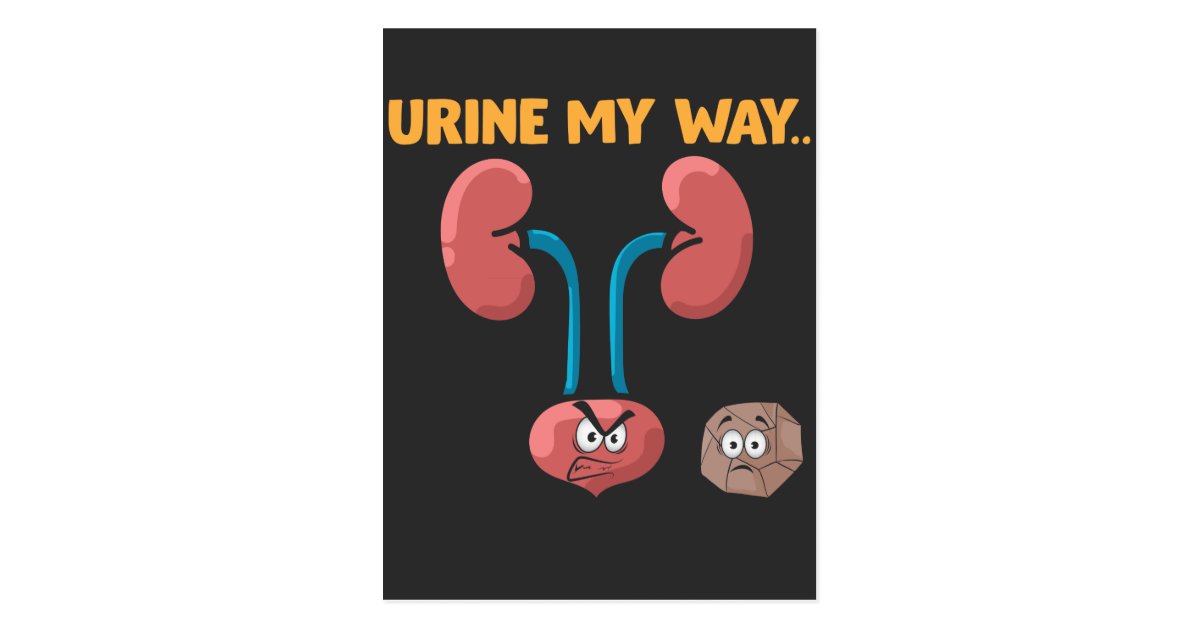 Kidney Stone Survivor Funny Surgery Recovery Humor ...