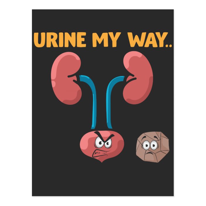 Kidney Stone Survivor Funny Surgery Recovery Humor Postcard Zazzle.co.uk