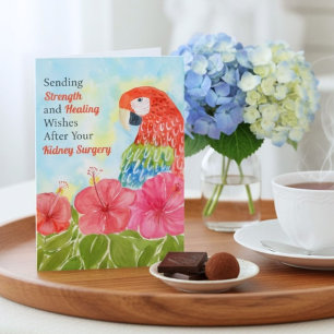 Kidney Surgery Healing Scarlet Macaws, Hibiscus Card