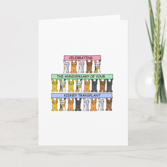 Kidney Transplant Anniversary Cartoon Cats Card Zazzle Co Uk