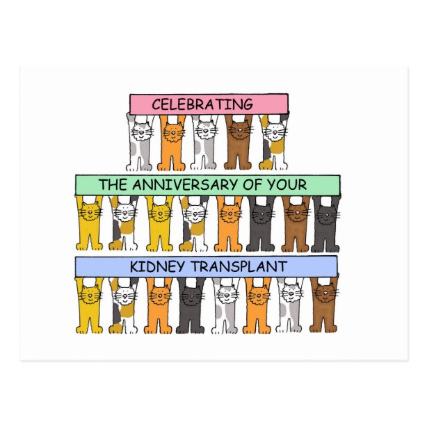 kidney gifts gift ideas zazzle uk