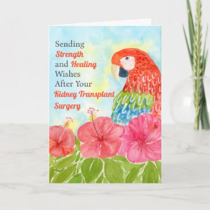 Kidney Transplant Healing Scarlet Macaws, Hibiscus Card