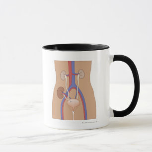Kidney Transplant Mug