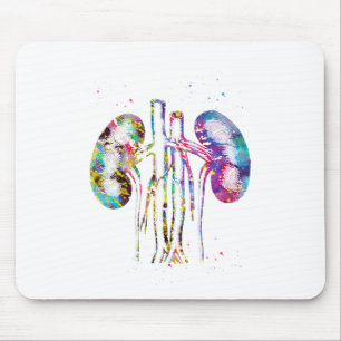 Kidneys anatomy mouse mat