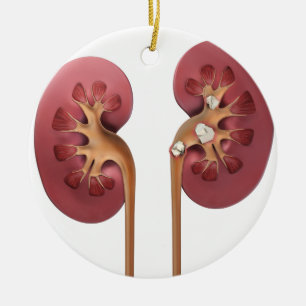 kidneys ceramic tree decoration