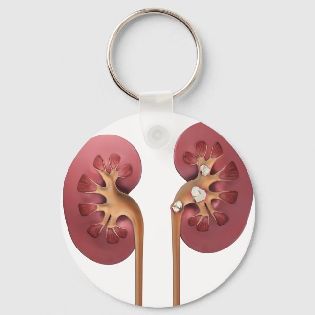 kidneys key ring (Front)