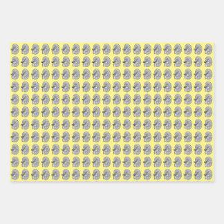 Kidneys, yellow, wrapping paper sheet