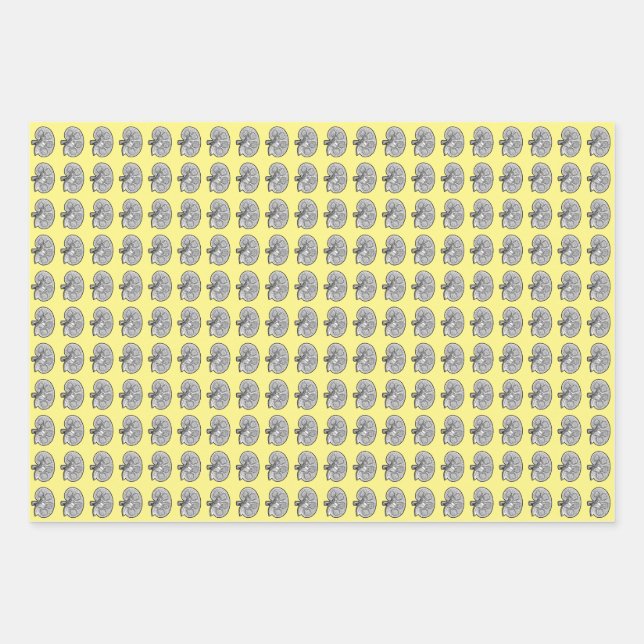 Kidneys, yellow, wrapping paper sheet (Front)