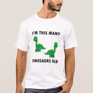 Kids 2 Years Old Boy Dinosaurs Lover 2Nd Birthday T-Shirt
