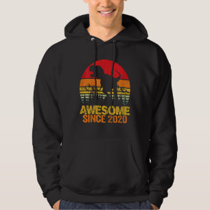 Kids 2nd Birthday Boy Dinosaur Rex 2 Year Old Girl Hoodie