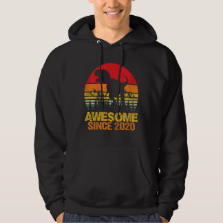 Kids 2nd Birthday Boy Dinosaur Rex 2 Year Old Girl Hoodie