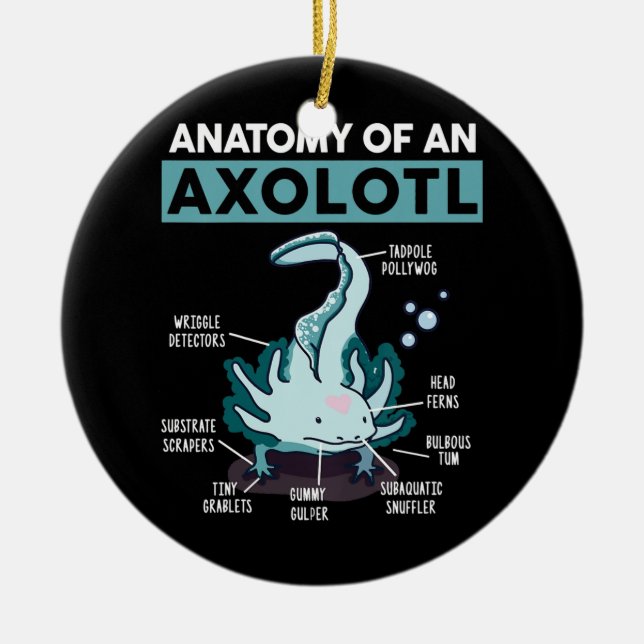 Kids Anatomy Of An Axolotl Mexican Walking Fish Ceramic Tree Decoration (Front)