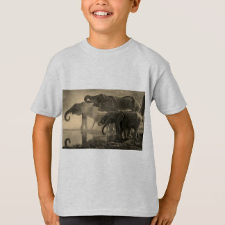 Kids Apparel/Elephant t shirts