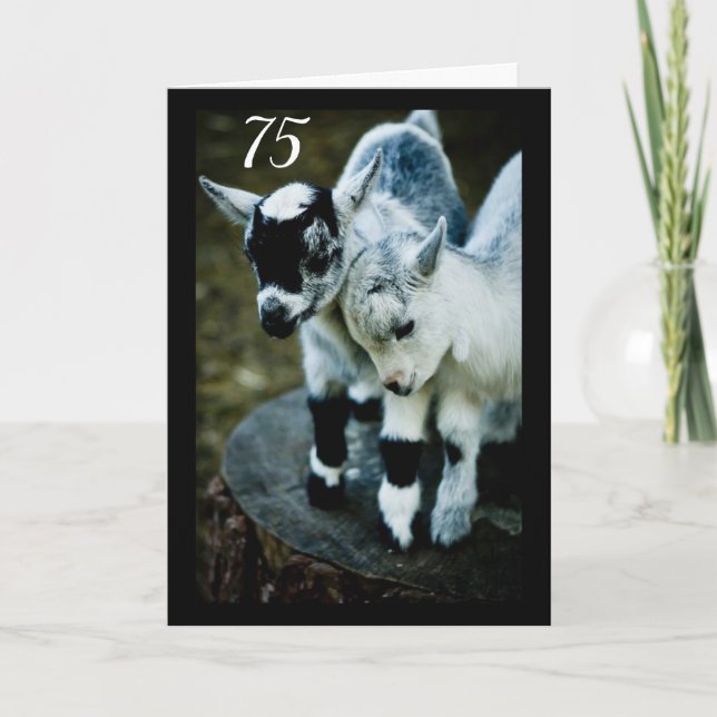 KIDS ARE AMAZED YOU ARE TURNING **75** CARD (Front)