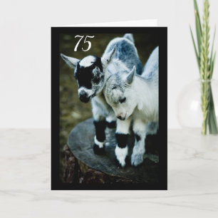 KIDS ARE AMAZED YOU ARE TURNING **75** CARD