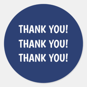Kid's Birthday Party Blue Thank You Classic Round Sticker