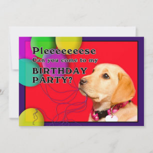 Kid's Birthday Party Invitation, Dog, Yellow Lab Invitation