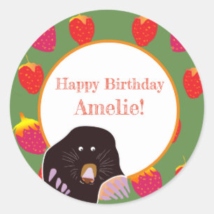 Kids Birthday Sticker