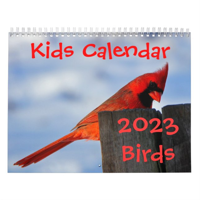 Kids Calendar - 2015 - Birds (Cover)