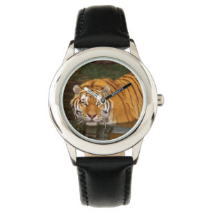 Kids Classic Watch/Wildlife Tiger Watch