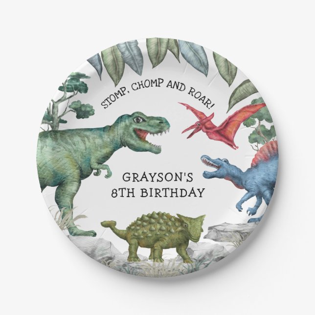 Kids Dinosaur Birthday Party Paper Plate (Front)