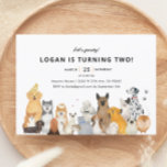 Kids Dog Puppy Pawty Birthday Party  Invitation<br><div class="desc">Kids Dog Puppy Pawty Birthday Party Invitations</div>