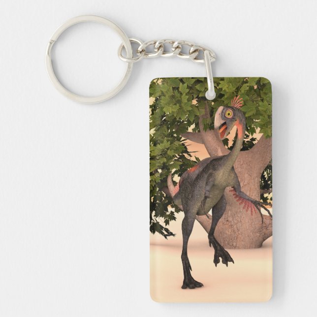 Kids Gigantoraptor Dinosaur Adventure Art Key Ring (Front)