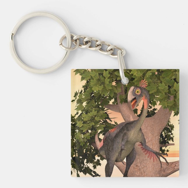 Kids Gigantoraptor Dinosaur Adventure Art Key Ring (Front)