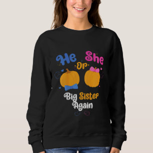 Kids He Or She Big Sister Again Gender Reveal Part Sweatshirt