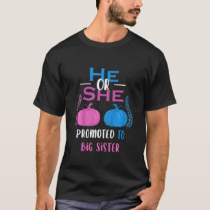 Kids He Or She Promoted To Big Sister Gender Revea T-Shirt
