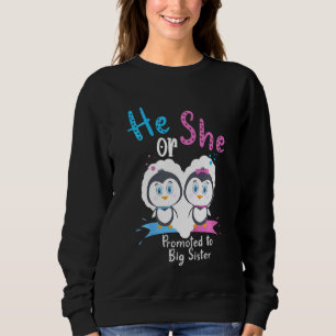 Kids He Or She Promoted To Big Sister Penguin Gend Sweatshirt