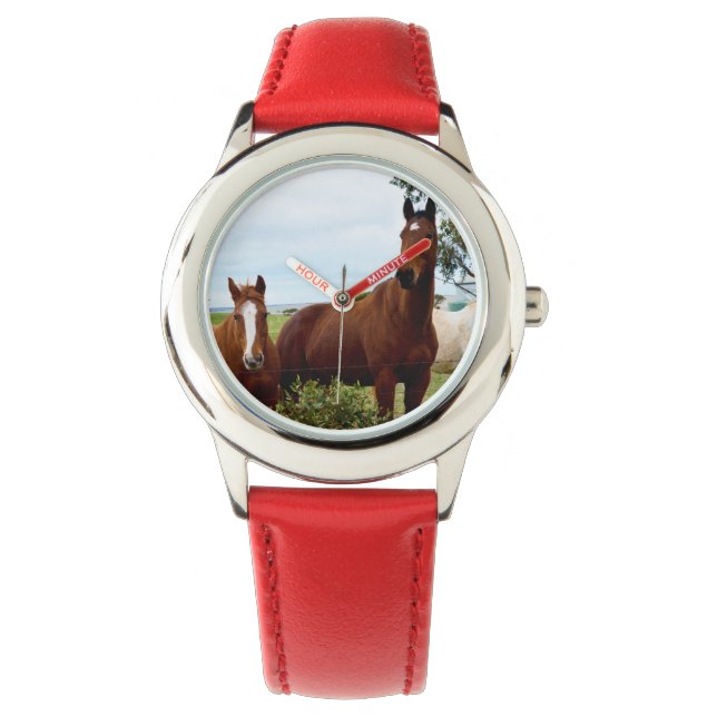 Kids Horse Watch. Watch (Front)