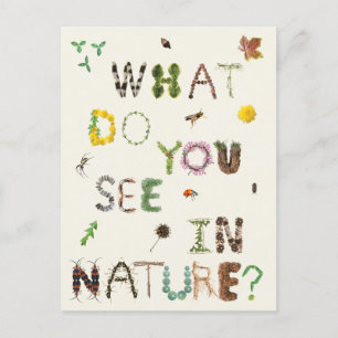 Kids Naturalist Nature Explorers  Postcard